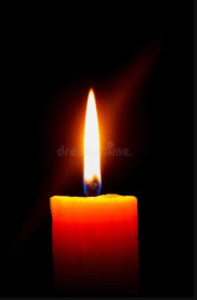 Savanah Rose Zimmerman, Stockbridge, MI Obituary - Gone Too Soon