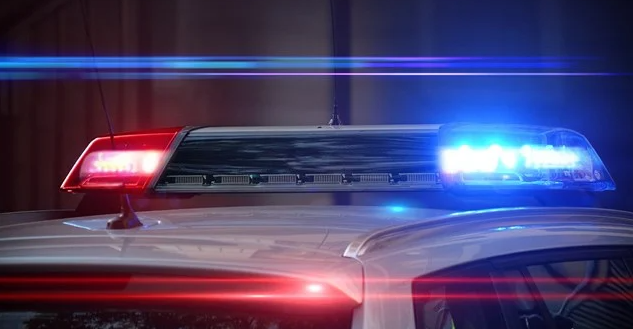 Nicole Ziccarelli, Pennsylvania Car Accident Death - Beloved Resident Killed in Fatal Road Crash